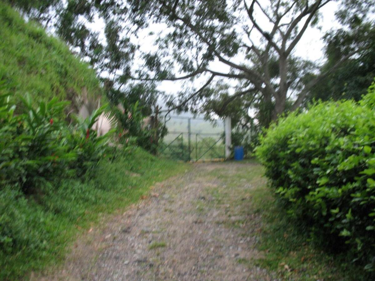 Hostel Finca La Gordita Calabazo (Magdalena) Exterior foto